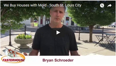 We Buy Houses With Mold South St Louis City